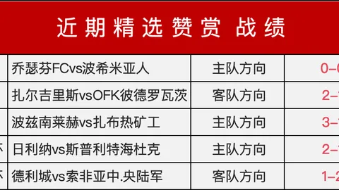 2026必备：如何与帕尔默罗杰斯完美配合的秘诀